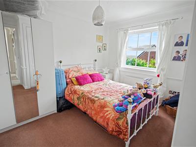 Picture 13